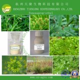 Highly Effective Herbicides Fenoxaprop-Ethyl (95%TC, 30%EW)