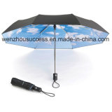 Classical Rain Umbrella