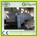 Continuous Jujube Drying Machine