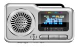 MP3 Player (BR-M673)