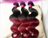 DIP Dye Ombre Brazilian Virgin Human Two Tone Color Hair Weaving