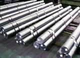 Hot Work Tool Steel Round/Flat Bar (H13/1.2344/SKD61)