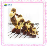 Different Size Camel Stuffed Toys