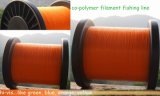 Co-Polymer Filament
