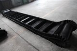 Sidewall Conveyor Belt 2