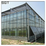 4mm 5mm Super White/Ultra Clear Tempered Glass for Greenhouse