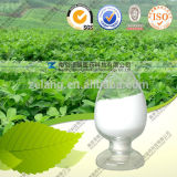 Stevia Extract Stevioside Reb a 97% From China