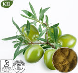 Olive Leaf Extract, Oleuropein 20%-60%, Hydroxytyrosol 5%-40%