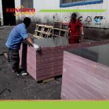 Boiling 72 Hours Waterproof Film Faced Plywood for Concrete Formwork
