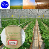 Plant Source Animal Source Amino Acid Powder Organic Fertilizer