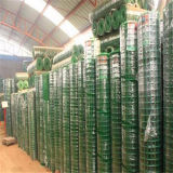 PVC Coated Welded Wire Mesh Panel/PVC Welded Wire Mesh