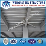 Low Price Steel Truss Structure (WD101905)