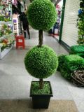 Artificial Plants and Flowers of Boxwood Tree Gu-Jys-200031