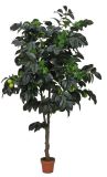 Artificial Plants and Flowers of Apple Tree 770lvs 14 Apples