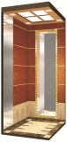 Yuanda Great Design Passenger Elevator
