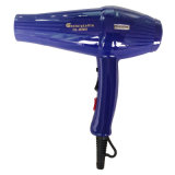 Different Color Hair Dryer for Salon Equipment (DN. 8360)