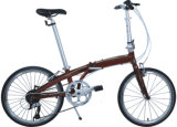 20 Folding Bike/Folding Bicycle/Folding Bike (KV029)