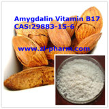 Natural Amygdalin 98%, Vitamin B17, Laetrile, CAS No. 29883-15-6