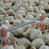 Good Quality Poultry Feeding Equipment Pan Feeder