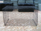 PVC Coated Chicken Wire Netting (LY-C66)