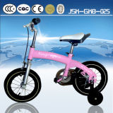 12 Inch Lovely Cycling Kids Bike Pedal Bikes for Baby