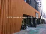 Factory Original Professional Design WPC Outdoor Wall Cladding