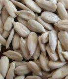 2015 China Sunflower Seed Raw Kernel for Wholesale
