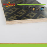 Red Film Faced Plywood From China Factory