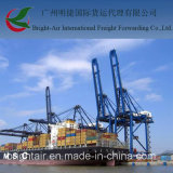 Swift Freight Broker From China to Navegantes, Brazil