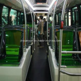 Plastic Seats for City Bus