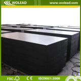 Construction Material Black Film Faced Plywood 18mm (w15410)