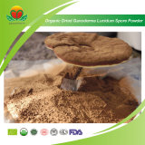 Manufacturer Supplier Dried Organic Reishi Spore Powder