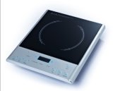 Induction Cooktop with Pot