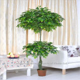 Evergreen Decoration Bonsai/Fake Ficus Tree