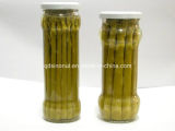 Canned Green Asparagus Spears (HACCP, ISO, HALAL, KOSHER, BRC, FDA)