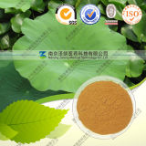 Lose Weight Plant Extract Lotus Leaf P. E.