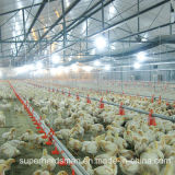 Poultry Control Shed Equipment for Broiler Production