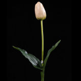 Tulip PU Flower (TU005-20S)