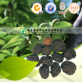 Natural Herbal Medicine Raw Material Smoked Plum