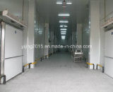 Vegetable Cold Room with Bitzer Compressor Unit and PU Sandwich Panel