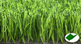 Synthetic/Artificial Grass Yarn with Mv