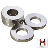Ring Sintered Permanent Magnets