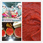 2014 Hot Sell Tomato Paste 70g Factory Price