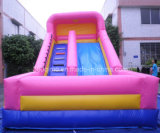 18' Inflatable Pink Dry Slide (BMSL208)