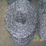 Barbed Iron Wire Mesh (DYWM961058)