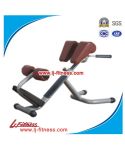 Roman Chair Bodybuilding Fitness (LJ-5631)