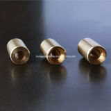 Brass Gold Plated Electronic Tube for Connection