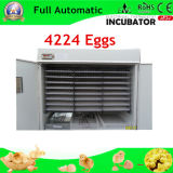 Best Selling Commercial Chicken Egg Incubator