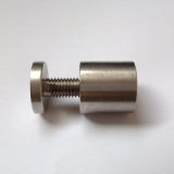 Stainless Steel Ss304 Mirror Screw