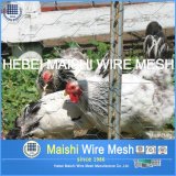 Hexagonal Chicken / Rabbit Wire Netting